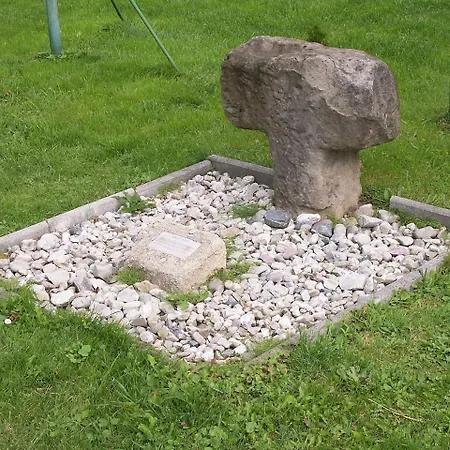 Hortenzie *