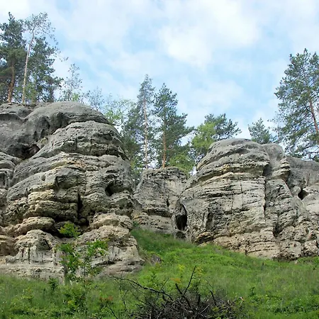 Hortenzie Marenice