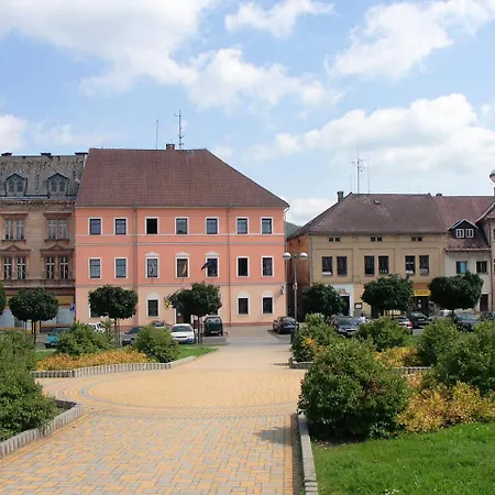 Hortenzie Marenice