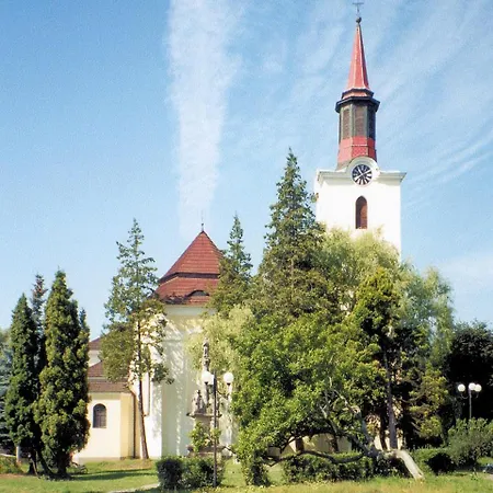 Hortenzie * Marenice