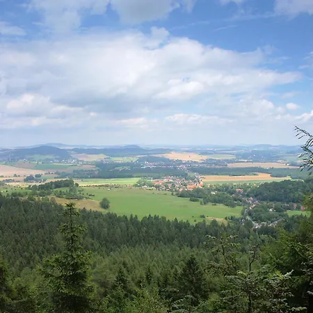 Hortenzie