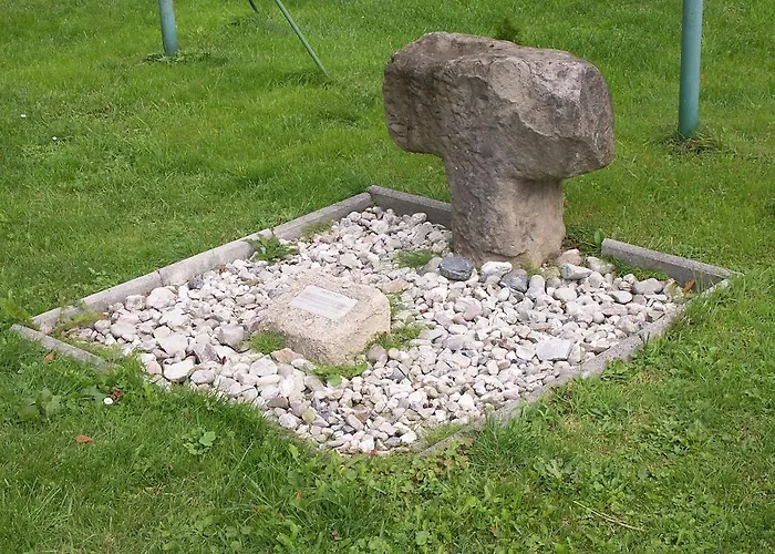 Hortenzie *