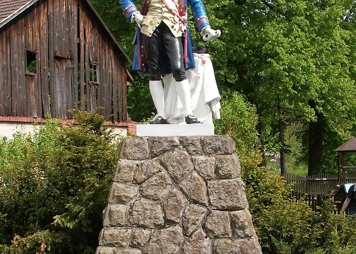 Hortenzie *