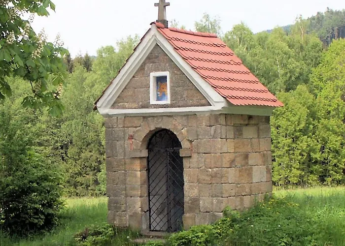 Hortenzie * Marenice