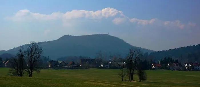Hortenzie
