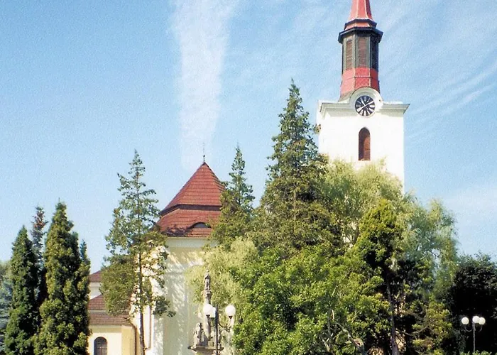 Hortenzie * Marenice