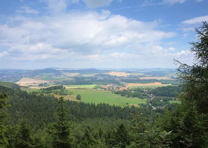 Hortenzie