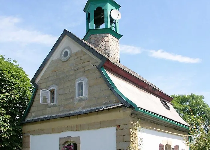 Hortenzie *